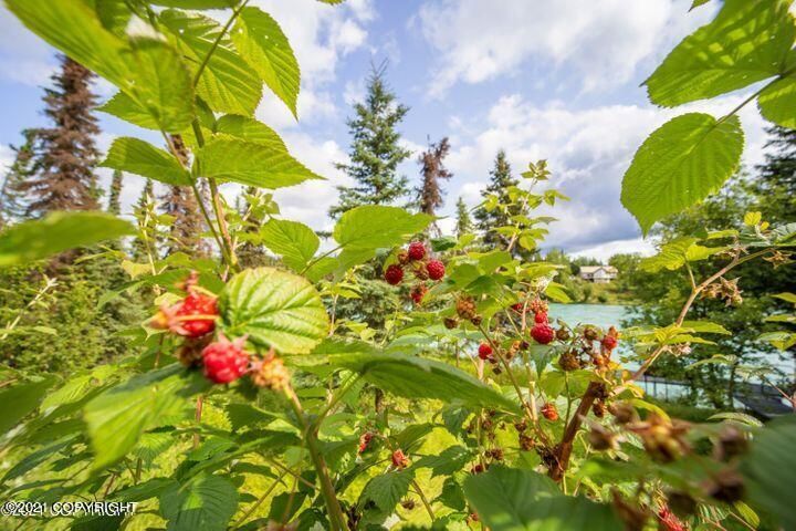 37720 Sara St, Soldotna, AK 99669